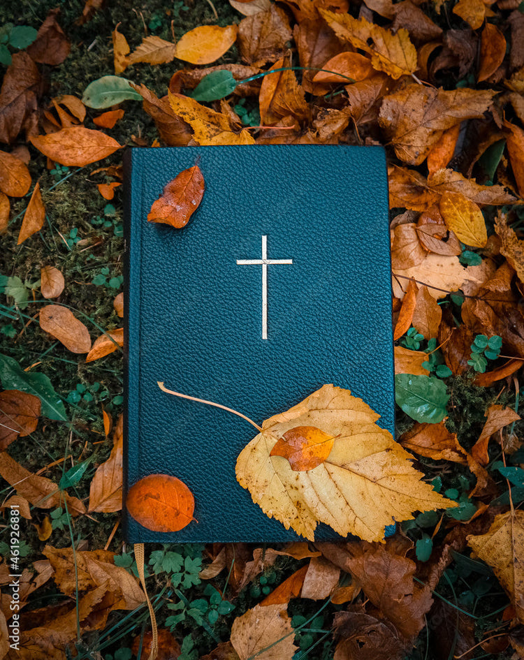 Fall Collection