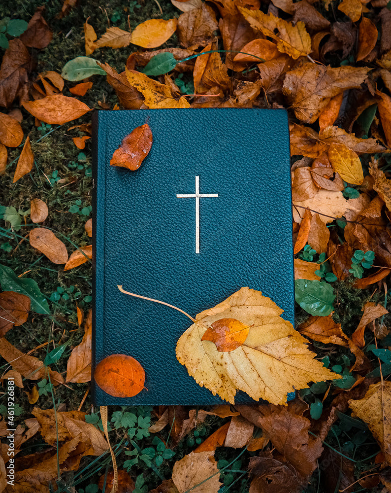 Fall Collection