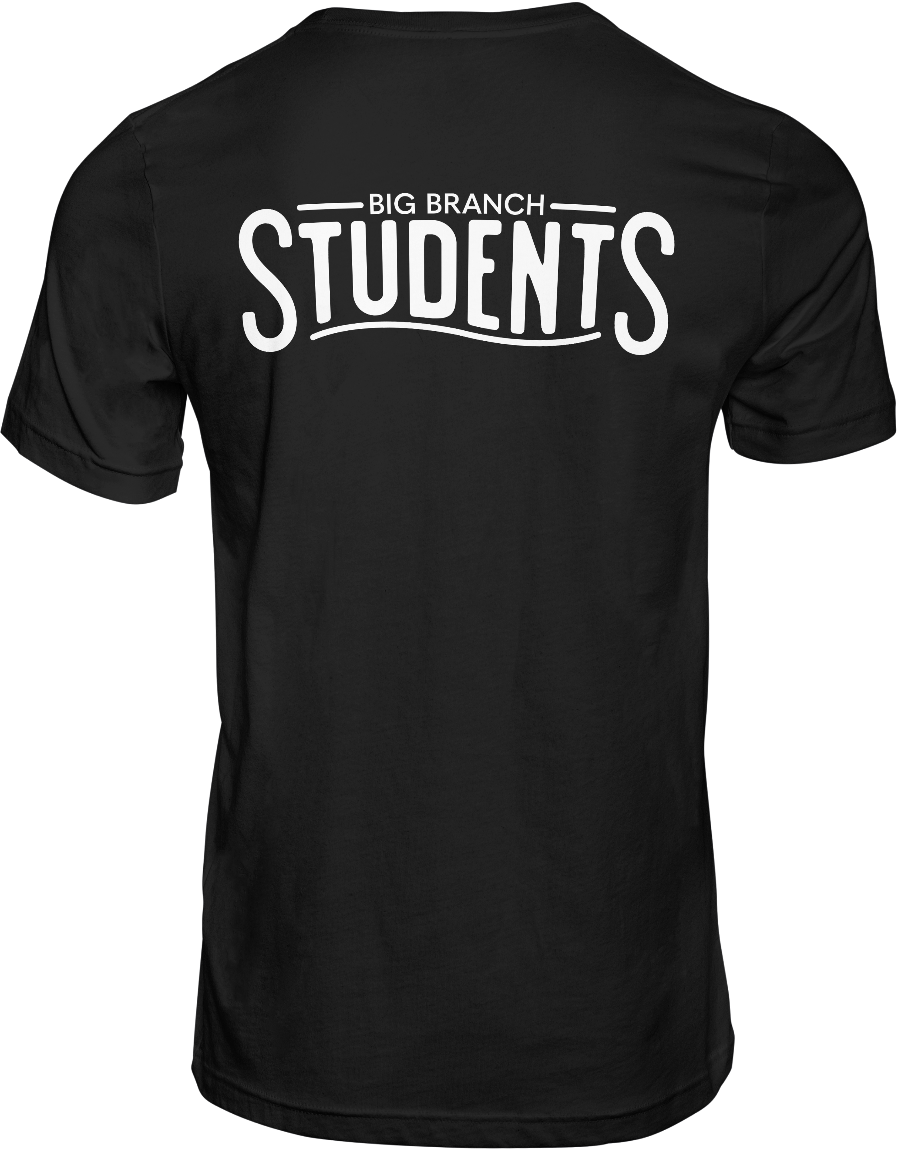 Big Branch Students Logo