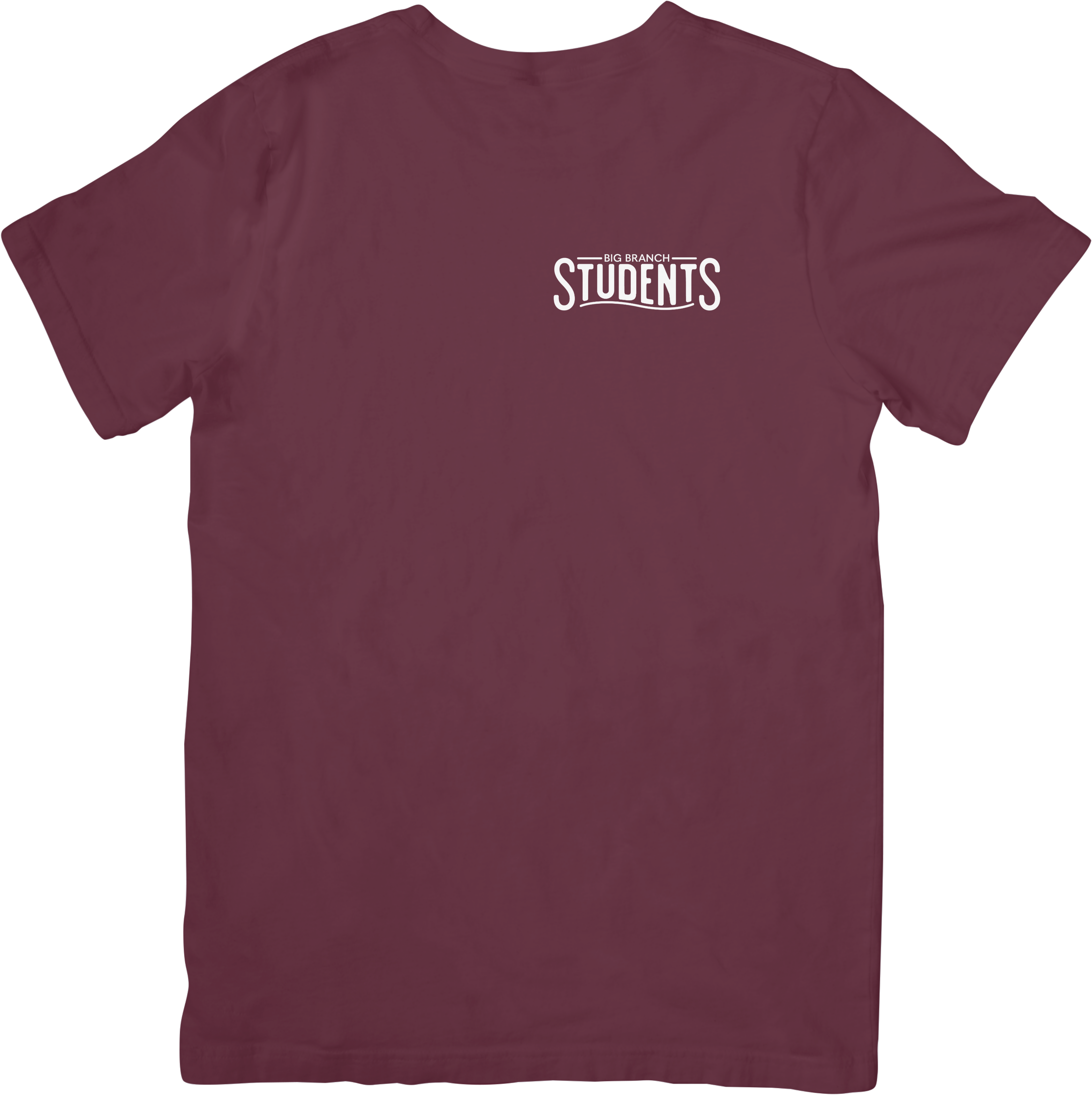 Big Branch Students Logo